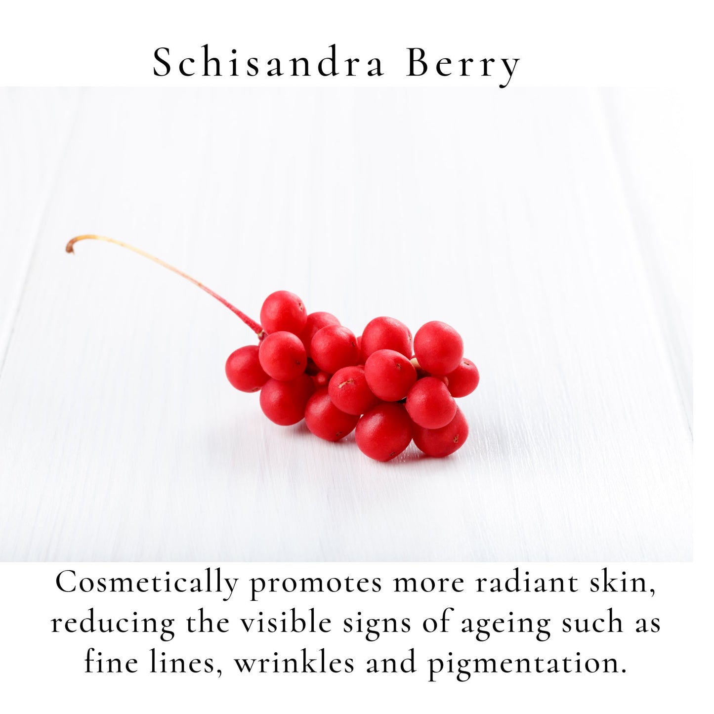 Zen Balm Sample       Limit One Per Order